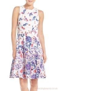 Gorgeous Maggy London Fit and Flare Floral Dress
